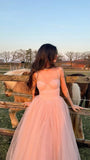 Simple A line Spaghetti Strap Pink Tulle Prom Dresses For Teens Formal Dress Party Outfits Prom Gowns HZ0311