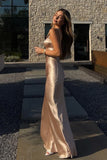Elegant Champagne Gold Sweetheart Spaghetti Strap Backless Long Mermaid Prom Dress HZ0311